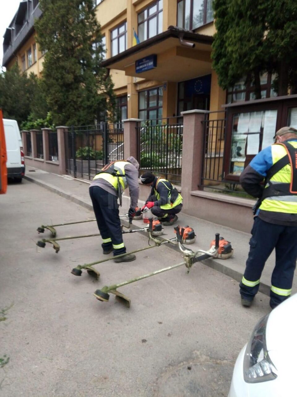Programul acțiunilor de întreținere a spațiilor verzi de săptămâna aceasta, în municipiul Suceava
