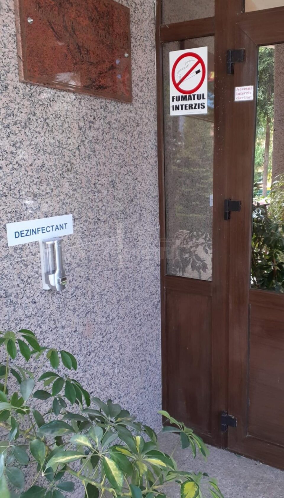 Măsuri speciale pentru reluarea activității