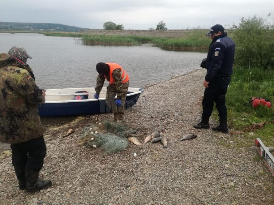 Acțiune de braconaj dejucată de jandarmii suceveni