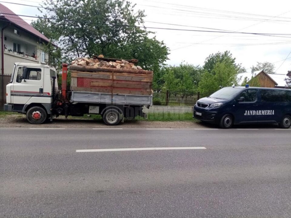 Lemn fără acte confiscat și plase de pescuit distruse, în urma acțiunii jandarmilor