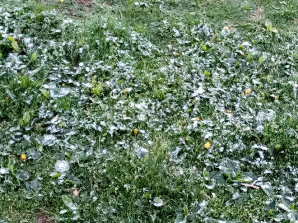 Îngheț pe Rarău, vineri dimineață