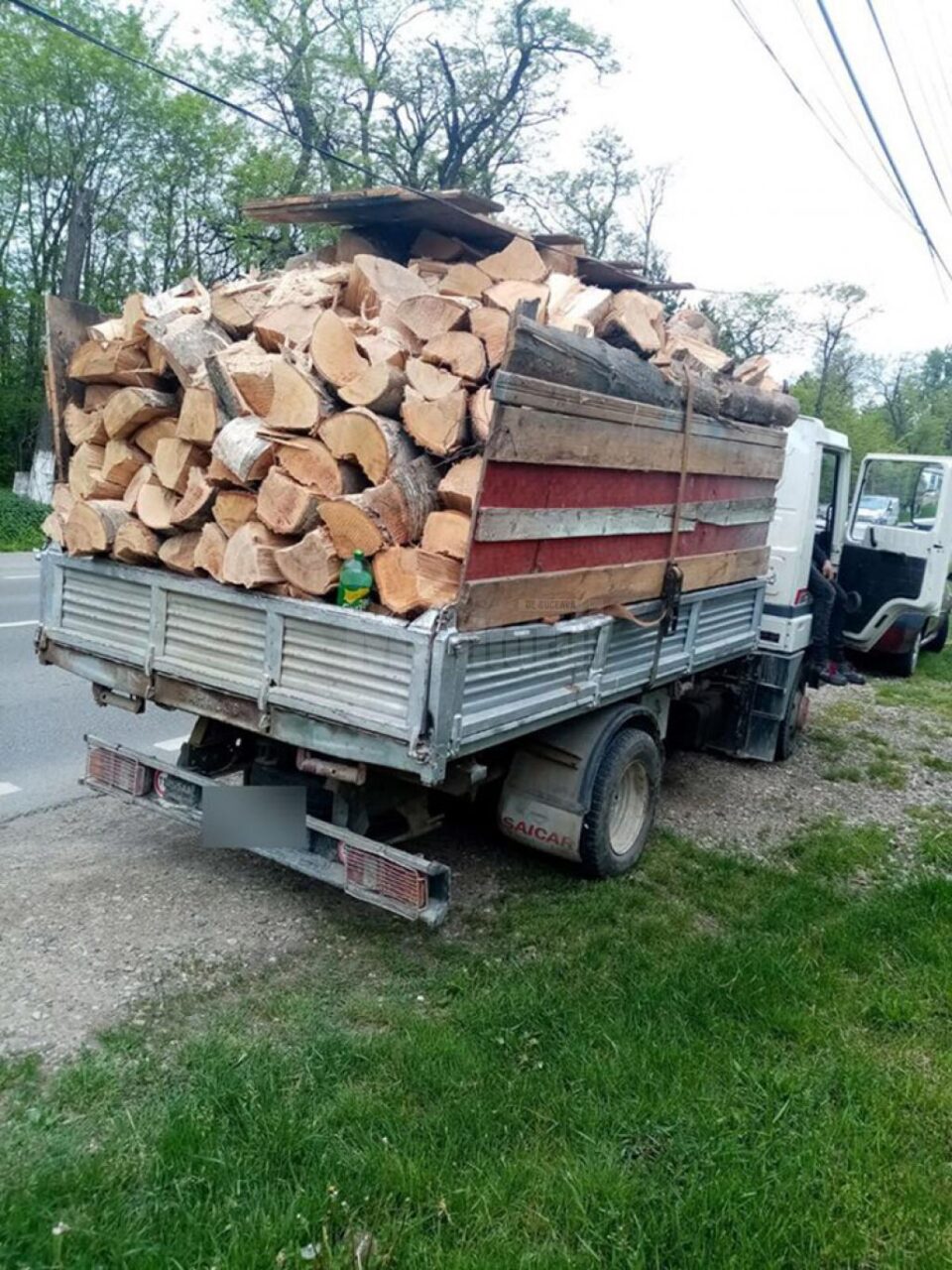 Lemn fără acte confiscat și plase de pescuit distruse, în urma acțiunii jandarmilor