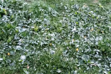 Îngheț pe Rarău, în dimineața lui 22 mai