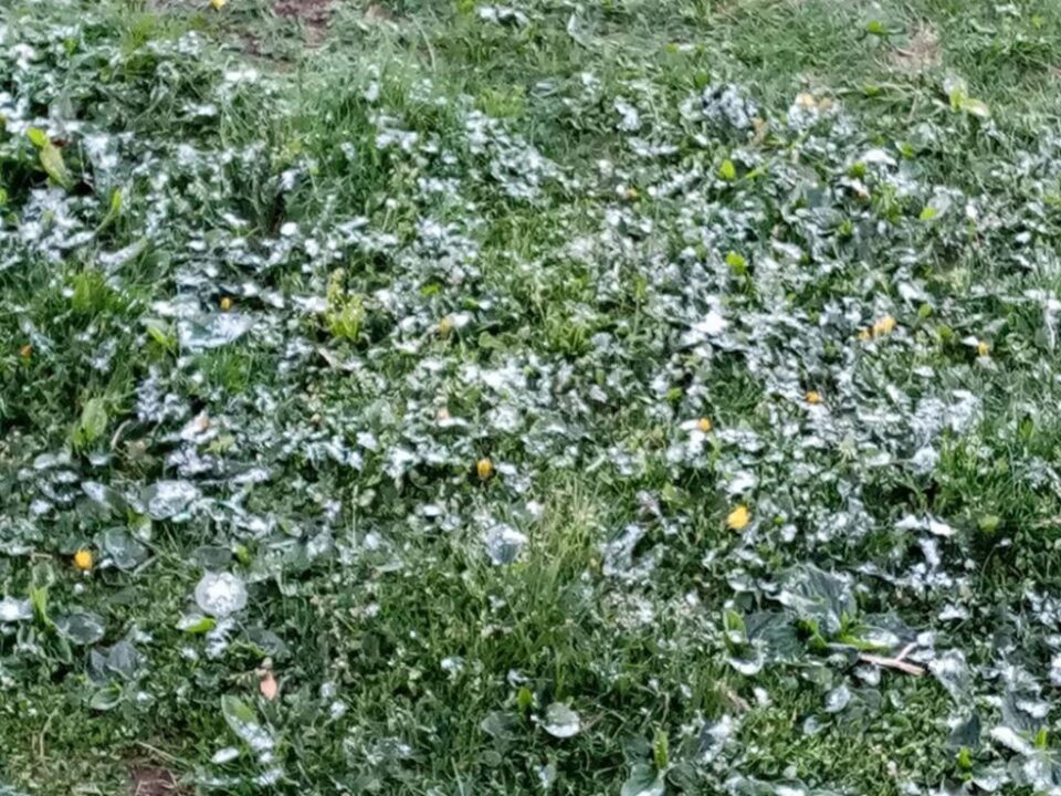 Îngheț pe Rarău, în dimineața lui 22 mai