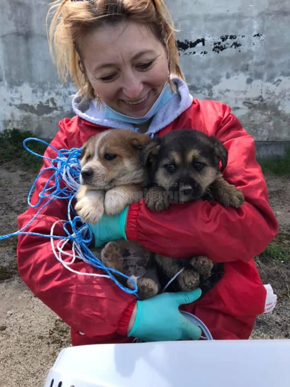 Misiune cu final fericit