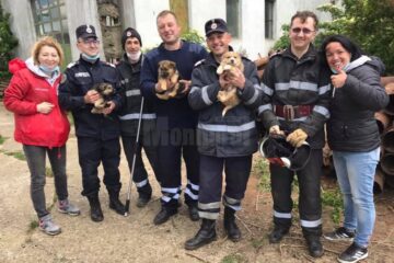 O misiune cu final fericit