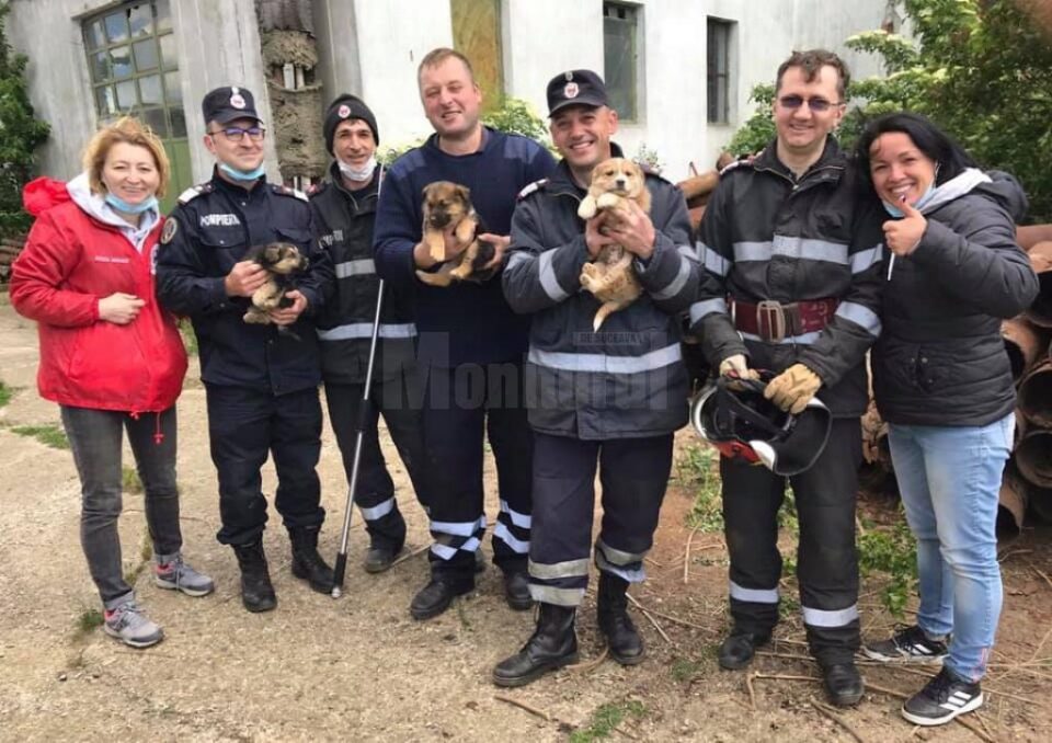 O misiune cu final fericit