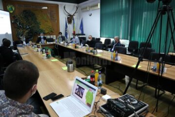 Cum se desfășoară o licitație de masă lemnoasă, cu plic închis, la Direcția Silvică Suceava, pe timp de pandemie