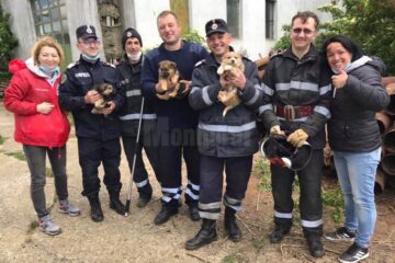 Cei cinci pompieri militari implicați în acțiunea de salvare a cățeilor