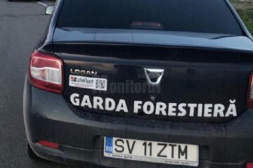 Cherestea în valoare de aproape 150.000 de lei, confiscată de la o societate de debitare lemn