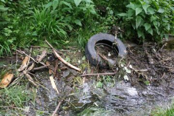 Parcul Șipote, plin de mizerie și buruieni