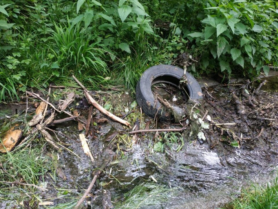 Parcul Șipote, plin de mizerie și buruieni