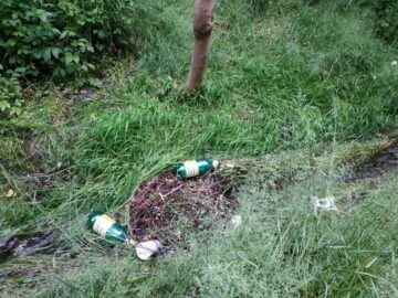 Parcul Șipote, plin de mizerie și buruieni