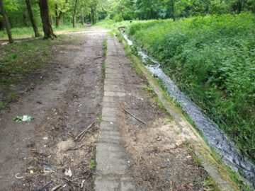 Parcul Șipote, plin de mizerie și buruieni