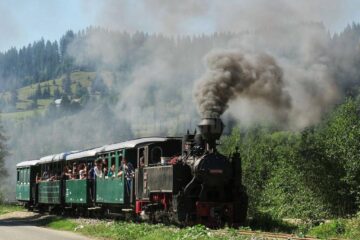Cu Mocănița pe Valea Moldoviței