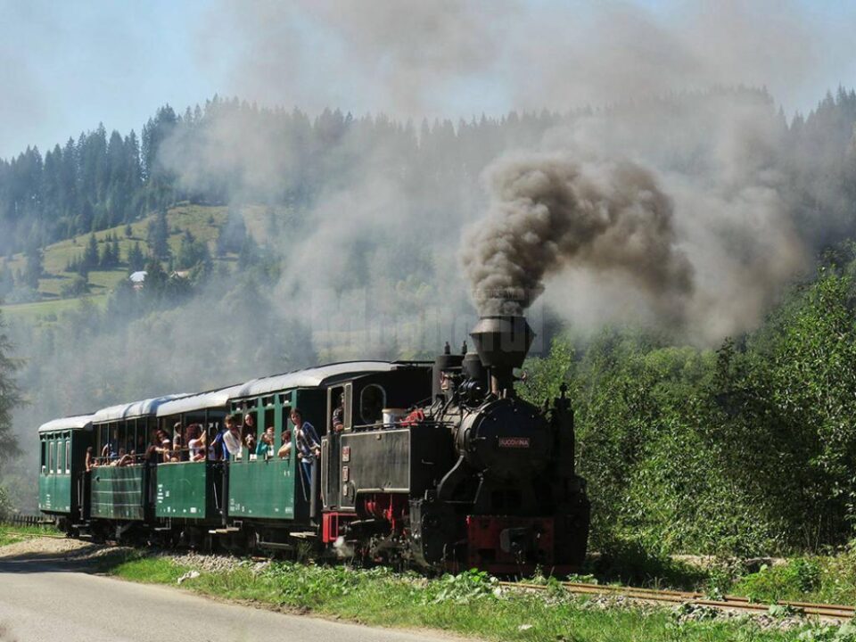 Cu Mocănița pe Valea Moldoviței