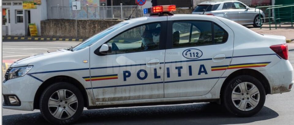 Polițiști din București și nouă județe acționează în Suceava pentru combaterea tăierilor ilegale de arbori