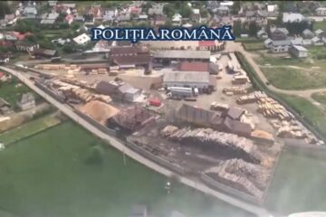 Imagini surprinse în timpul acțiunii de control derulate timp de patru zile la agenți economici din domeniul forestier, în județul Suceava