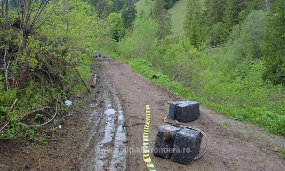 Țigările au fost ridicate în vederea confiscării