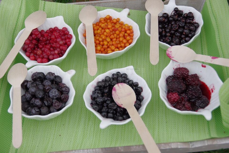 O mulțime de produse din Bucovina ar putea fi înregistrate cu noua marcă -”Produs în Arie Naturală Protejată”