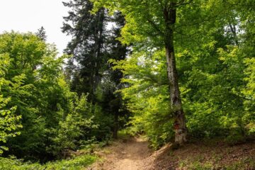 Am fost pe noile trasee turistice de la Gura Humorului