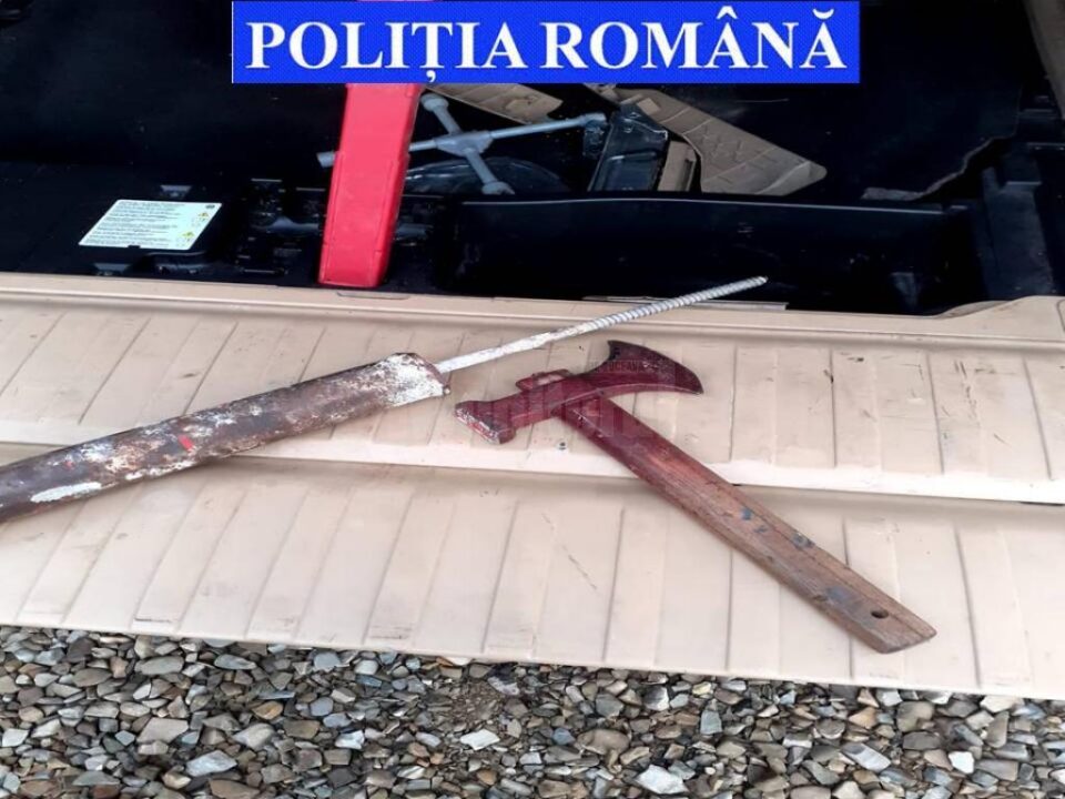 Oamenii legii au pus în aplicare 6 madate de perchezeție domiciliară