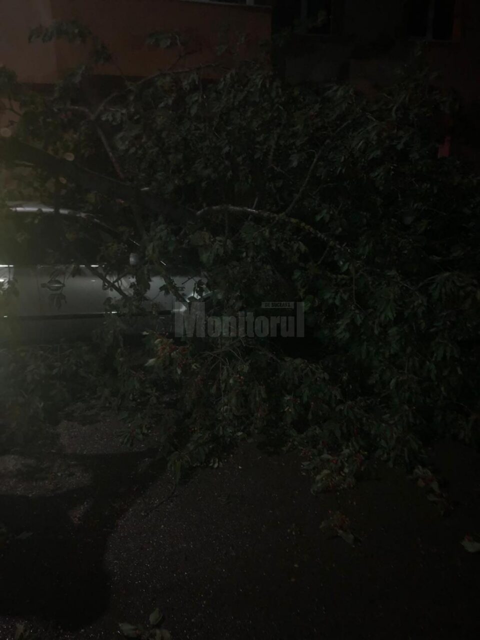 Fenomenele meteo extreme au creat probleme în mai multe localități ale județului