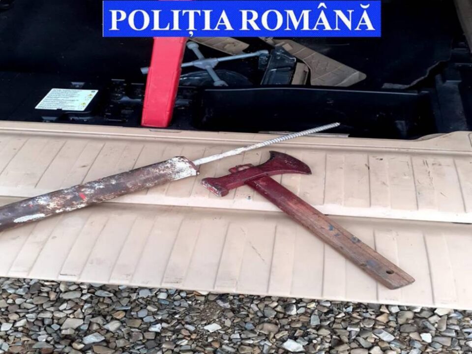 Fost pădurar, reținut pentru că a pus pe picioare o rețea de trafic cu material lemnos