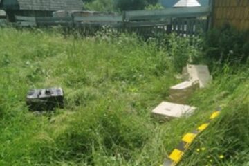 3.500 de pachete de țigări de contrabandă, abandonate pe o fâneață din Straja