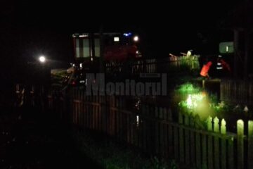 curte inundata gemenea