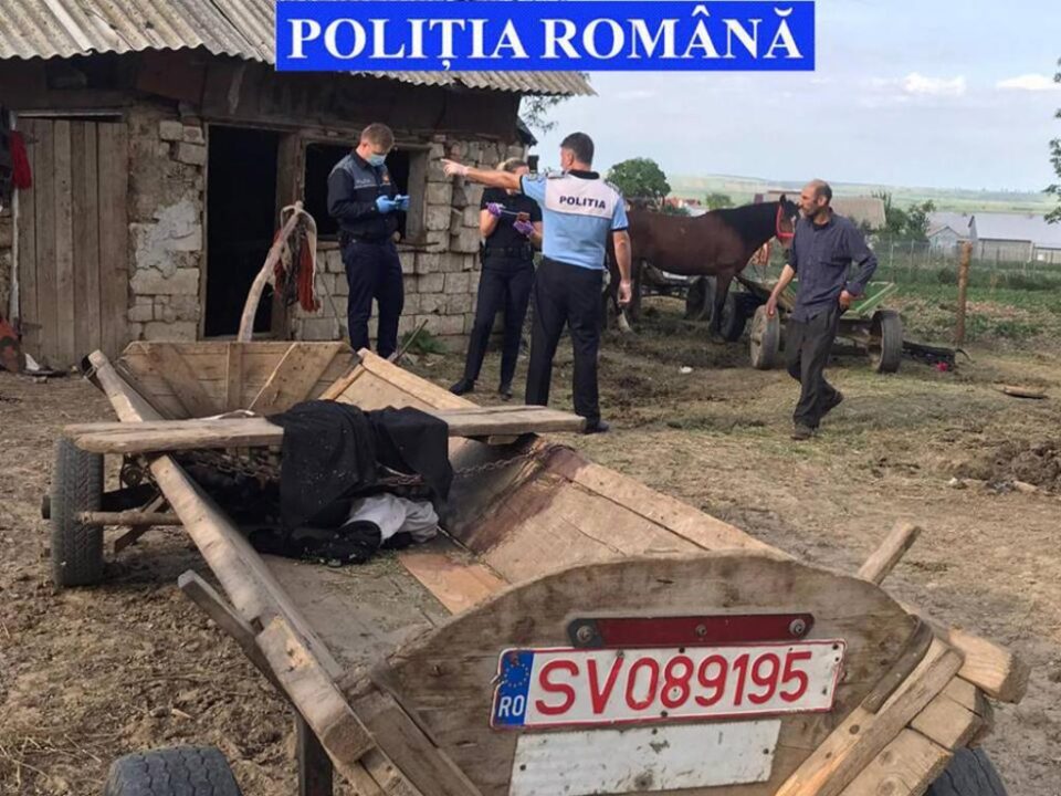 Intervenția poliției