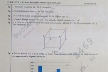 Subiectele de la matematică, la evaluarea națională
