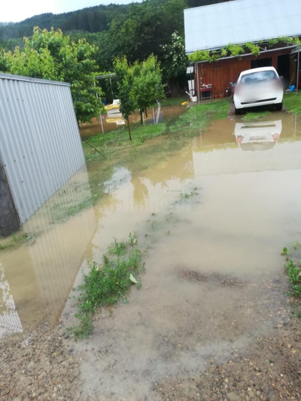 Curti inundate in urma ploii torentiale