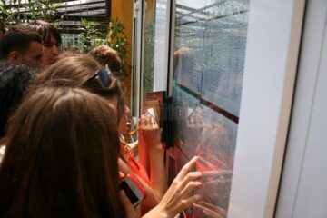 La bacalaureat, rezultate pe baza unui cod unic