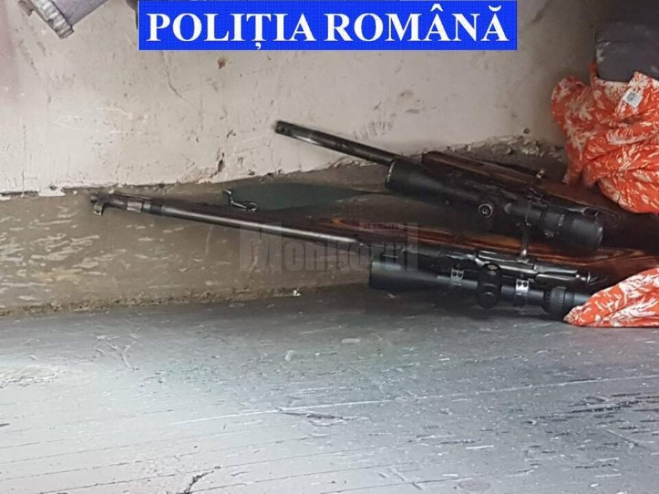 Arme ridicate de la Sucevița
