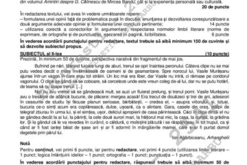 Subiectele de la profilul real. Sursa edupedu.ro