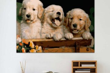 Pictorul Fericit și-a actualizat stocul de picturi pe numere - propune o activitate perfectă pentru orice vârstă!