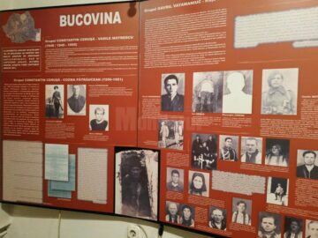 Rezistența din munții Bucovinei