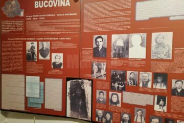 Rezistența din munții Bucovinei