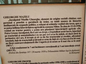 Torturați și uciși pentru că au crezut într-un ideal numit Bucovina