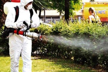 Campanie de dezinsecție, împotriva căpușelor, în municipiul Suceava