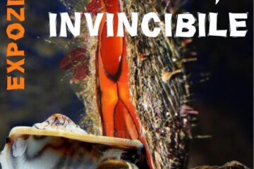 Expoziția „Platoșe invincibile”, la Muzeul de Științele Naturii