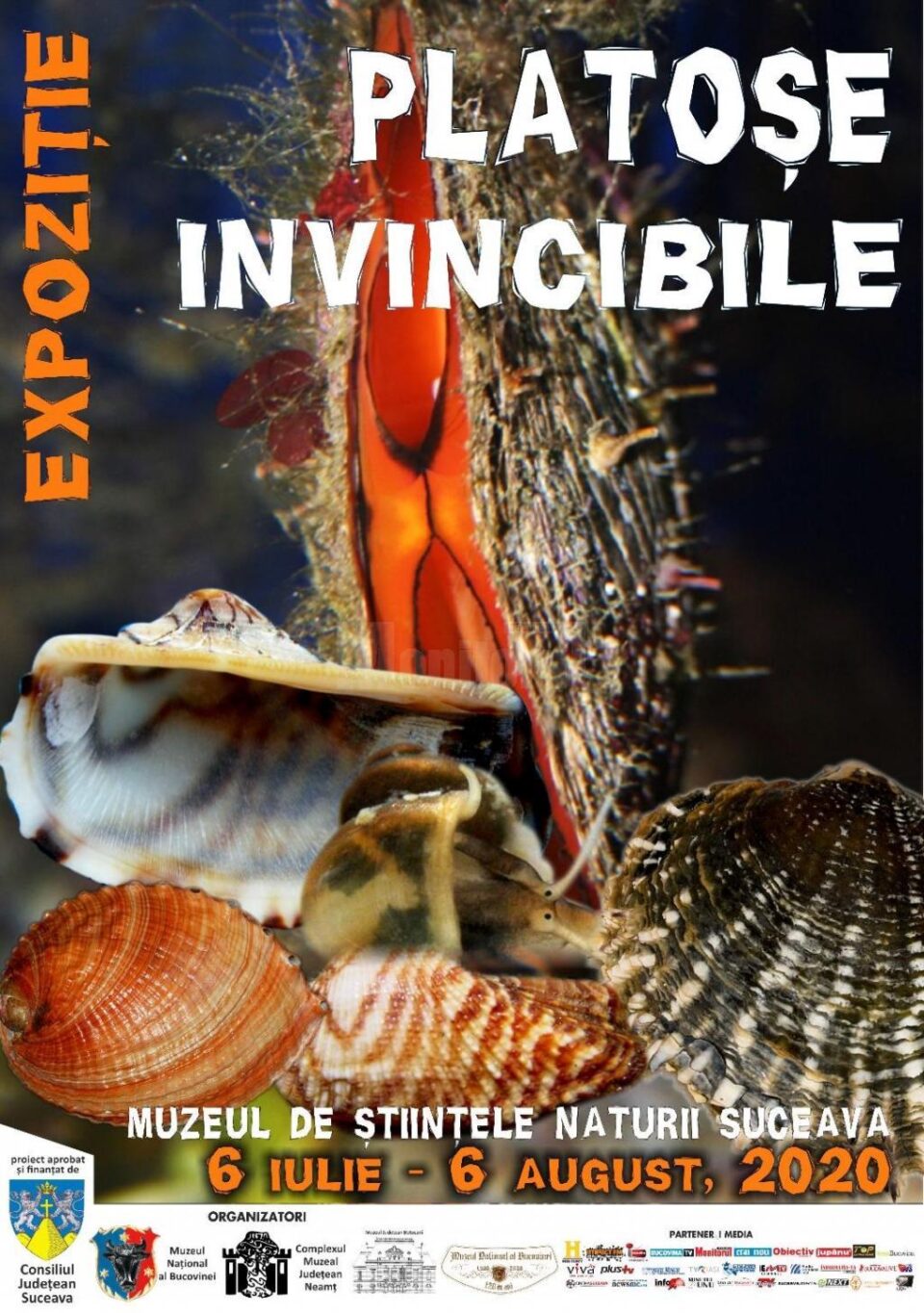 Expoziția „Platoșe invincibile”, la Muzeul de Științele Naturii Expoziția „Platoșe invincibile”, la Muzeul de Științele Naturii