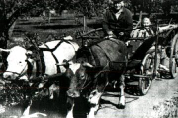 „Răzeșii”