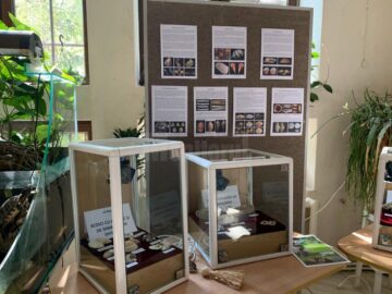 Expoziția „Platoșe invincibile”, la Muzeul de Științele Naturii