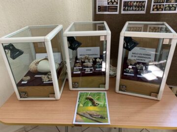 Expoziția „Platoșe invincibile”, la Muzeul de Științele Naturii