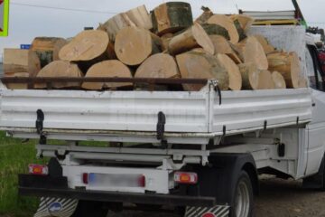 lemn confiscat
