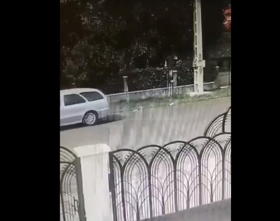 Mașina de tipul Lancia vagon și pisoii aruncați, dintre care unul a fost calcat