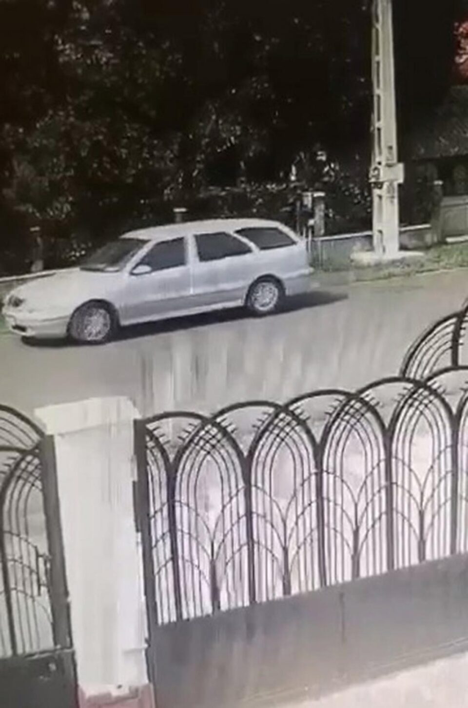 Autoturismul marca Lancia din care sunt scoși pisoii