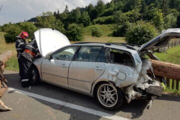 Trunchiurile de lemn au intrat efectiv prin mașină ca un berbece